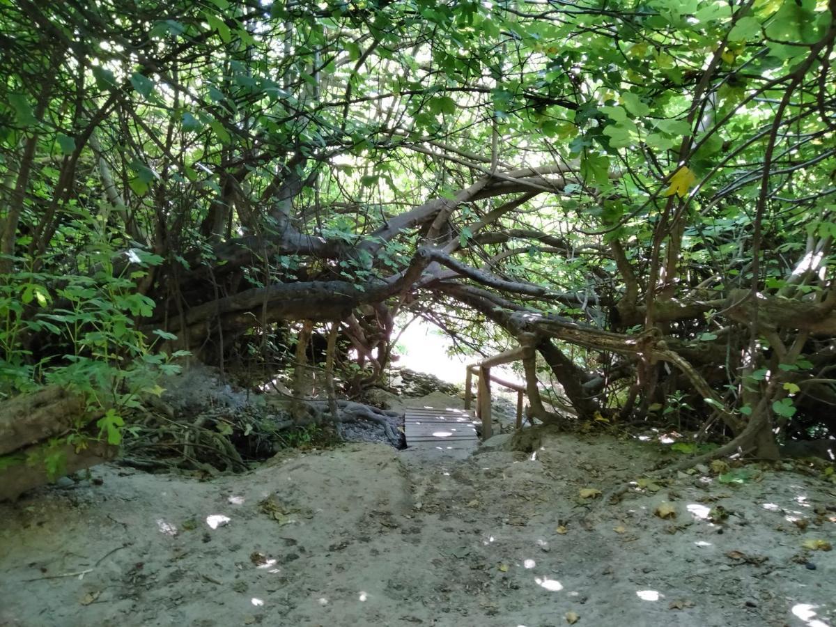 Alojamiento Rural, Cueva De La Abuela Cuevas del Campo Buitenkant foto